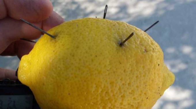 Comment faire revenir son ex avec du citron - Le pouvoir de la magie